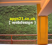 web design solutions